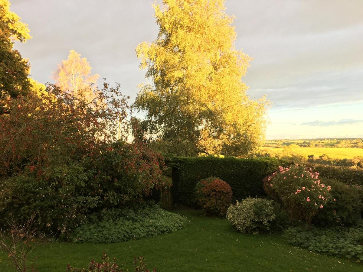 Pensjonat East Hillerton House Crediton Zewnętrze zdjęcie