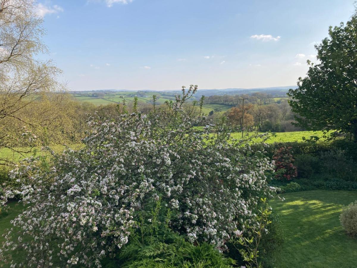 Pensjonat East Hillerton House Crediton Zewnętrze zdjęcie