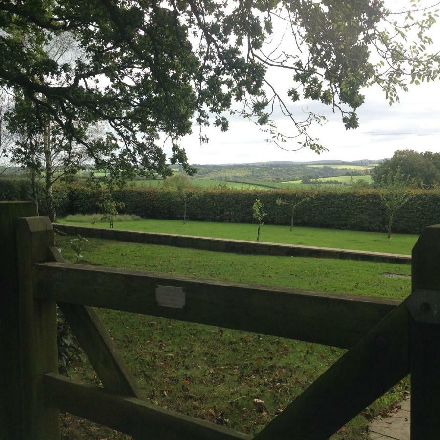 Pensjonat East Hillerton House Crediton Zewnętrze zdjęcie